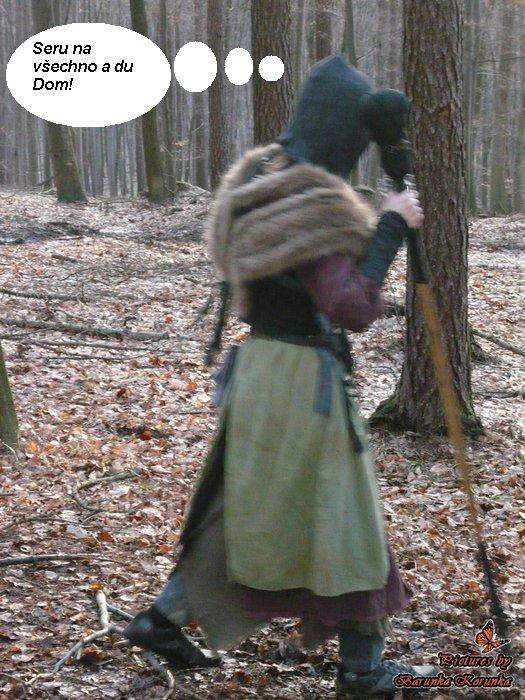Aneb nasraný Druid